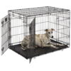 Midwest Home for Pets Lifestage Double-Door Dog Crate, 36