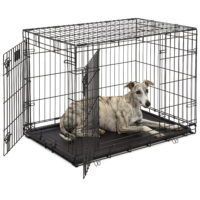 Midwest Home for Pets Lifestage Double-Door Dog Crate, 36"