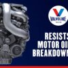 Valvoline Daily Protection SAE 30 Conventional Motor Oil 1 QT, Case of 6