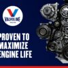 Valvoline Daily Protection SAE 30 Conventional Motor Oil 1 QT, Case of 6
