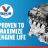 Valvoline European Vehicle Full Synthetic SAE 5W-30 Motor Oil 1 QT, Case of 6