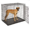 MidWest Homes For Pets XX-Large Double-Door Metal Wire Dog Crate, 54"