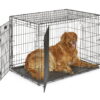 MidWest Homes For Pets Double Door iCrate Metal Dog Crate, 42" MidWest Homes For Pets Double Door iCrate Metal Dog Crate, 42"