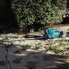 Makita XHU10Z 18V LXT Lithium-Ion Cordless 24 in. Hedge Trimmer (Tool Only)