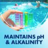 ARM & HAMMER Clear Balance Swimming Pool Alkalinity pH Maintenance Tablets, White, 1 Pack, 24 Count ARM & HAMMER Clear Balance Swimming Pool Alkalinity pH Maintenance Tablets, White, 1 Pack, 24 Count