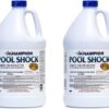 Champion Pool Shock - Ready to Use Liquid Chlorine - Commercial Grade 12.5% Concentrated Strength - 2 Pack