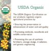 Fresh Roasted Coffee, Organic Sumatra Water-Processed Decaf, Single Origin, Medium Roast, RFA Kosher, K-Cup Compatible, 72 Pods