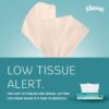 Kleenex® Professional Facial Tissues, Bulk (21400), 2-Ply, White, Flat Facial Tissue Boxes for Business (100 Tissues/Box, 36 Boxes/Case, 3,600 Tissues/Case) Kleenex® Professional Facial Tissues, Bulk (21400), 2-Ply, White, Flat Facial Tissue Boxes for Business (100 Tissues/Box, 36 Boxes/Case, 3,600 Tissues/Case)
