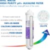 APEC Water RO-CTOP-PH Ultimate 4-stage Multi-method Reverse Osmosis Filtration System