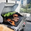 Monument M405BZ Mesa Stainless Steel 5-Burner Infrared Liquid Propane Gas Grill with 1 Side Burner