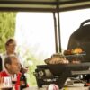 NAPOLEON PRO285-BK TravelQ PRO 285-Sq in Black Portable Liquid Propane Grill