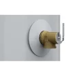 A.O. Smith E6-30H45DV Signature 100 30-Gallon Tall 6-year Warranty 4500-Watt Double Element Electric Water Heater