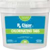 Rx Clear 3 Inch Stabilized Chlorine Tablets, 20 Pounds I Individual Chlorinating Tabs for Sanitizing Swimming Pools