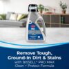 BISSELL Big Green Professional Carpet Cleaner with XL DirtLifter PowerBrush, 9-inch Long Reach Hose, 6-inch Tough Stain Tool, Includes BISSELL PRO MAX Formula with Stain Protect Technology
