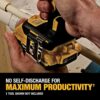 DEWALT 20V MAX Lithium Ion Battery, 2 Ah and 4 Ah, 4-Pack, Fuel Gauge LED Charge Indicators (DCB324-4)