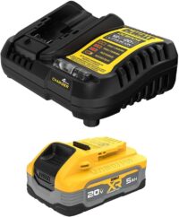DEWALT Powerstack 20V MAX Battery Starter Kit, Rechargeable, 5Ah, Lithium Ion (DCBP520C)