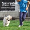 PetSafe Stay & Play 2-Dog Wireless Fence with Replaceable Battery Collar - from Parent Company of Invisible Fence Brand - Circular Boundary Covers Up to 3/4 Acre - Contains 2 Receiver Collars