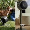 Shark FlexBreeze Fan - Indoor & outdoor oscillating fan, pedestal & tabletop, corded & cordless portable fan with outdoor InstaCool misting attachment - FA222