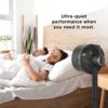 Shark FlexBreeze Fan - Indoor & outdoor oscillating fan, pedestal & tabletop, corded & cordless portable fan with outdoor InstaCool misting attachment - FA222