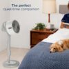Shark FlexBreeze Pro Mist Fan — Indoor & Outdoor, Integrated Misting, Pedestal to Tabletop, Corded or Cordless, Up to 24-Hr Battery, Oscillating, White, FA302WH (2025 Release)