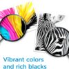HP Original 936e Black EvoMore Ink / 936 Tri-Color Ink Cartridges (2-Pack) | Works with Printer Series: OfficeJet 9120, Pro 9100, Pro Wide Format 9700 | Carbon Neutral | C84QZLN HP Original 936e Black EvoMore Ink / 936 Tri-Color Ink Cartridges (2-Pack) | Works with Printer Series: OfficeJet 9120, Pro 9100, Pro Wide Format 9700 | Carbon Neutral | C84QZLN