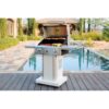 Kenmore Pearl 3 -Burner Liquid Propane Gas Grill