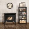 Master Forge 1100-sq ft Dual -Burner Vent-free Freestanding Liquid Propane and Natural Gas Stove