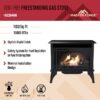Master Forge 1100-sq ft Dual -Burner Vent-free Freestanding Liquid Propane and Natural Gas Stove