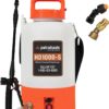 PetraTools Battery Powered Sprayer 1 Gallon - HD1000-S - Heavy Duty Electric Sprayer for Lawn and Garden Weed/Pest Control, Watering - with Battery, Charger & 2 Nozzles (1 Gallon)