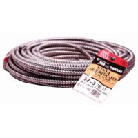 Southwire Duraclad 100-ft 12 / 3 Solid Steel BX/AC Armored Cable