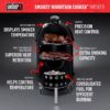 Weber 711001 14-in Smokey Mountain Cooker 286-Sq in Black Porcelain-enamel Vertical Charcoal Smoker