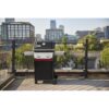 Weber Spirit E-210 Black 2 -Burner Liquid Propane Gas Grill