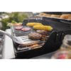 Weber Spirit E-210 Black 2 -Burner Liquid Propane Gas Grill