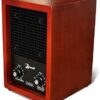 Mammoth Ion and Ozone Generator 3000 mg/hour, Adjustable up to 3,500 SqFt Ionizer & Deodorizer Ozone Odor Eliminator- Ozone Machine Wooden Design Ideal for Dust, Pollen, Pets & Smoke Smell