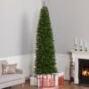 National Tree Company 9 ft Unlit Kingswood Fir Slim Artificial Christmas Tree, 1,443 Tips, Includes Stand, Green National Tree Company 9 ft Unlit Kingswood Fir Slim Artificial Christmas Tree, 1,443 Tips, Includes Stand, Green