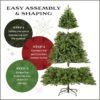 National Tree Company 9 ft Unlit Kingswood Fir Slim Artificial Christmas Tree, 1,443 Tips, Includes Stand, Green National Tree Company 9 ft Unlit Kingswood Fir Slim Artificial Christmas Tree, 1,443 Tips, Includes Stand, Green