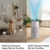 Nuwave Oxypure Air Purifiers 3XL H13 HEPA Filter for Home Bedroom, 17dB, 360° Air Intake, Removal to 0.1 Micron Smoke Dust Pollen Pet Hair Odor, Air Quality Sensor, Energy Star