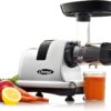 Omega Cold Press Juicer Machine, Vegetable and Fruit Juice Extractor and Nutrition System Makes Nut Milks Baby Food and Sorbets, Triple-Stage 80-RPM Slow Masticating Juicer, 200-Watts, Silver
