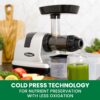 Omega Cold Press Juicer Machine, Vegetable and Fruit Juice Extractor and Nutrition System Makes Nut Milks Baby Food and Sorbets, Triple-Stage 80-RPM Slow Masticating Juicer, 200-Watts, Silver