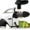 Omega Juicer Premium Vegetable and Fruit Juice Extractor and Nutrition System Makes Nut Milks Baby Food and Sorbets, Adjustable Pressure Settings 80-RPM Slow Masticating Juicer, 150-Watts, Silver