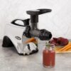 Omega Juicer Premium Vegetable and Fruit Juice Extractor and Nutrition System Makes Nut Milks Baby Food and Sorbets, Adjustable Pressure Settings 80-RPM Slow Masticating Juicer, 150-Watts, Silver