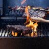 Pit Boss PB150PPB Portable Battery Powered Wood Pellet Grill 10798