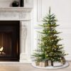 Puleo International 4.5ft Pre-Lit Aspen Fir Artificial Christmas Tree with 250 Clear Lights, 411 Realistic Dense Branch Tips Puleo International 4.5ft Pre-Lit Aspen Fir Artificial Christmas Tree with 250 Clear Lights, 411 Realistic Dense Branch Tips