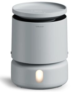 BLUEAIR Room Humidifier - DreamWell - 48Hr Top-Fill Mist-Free InvisibleMist Technology Aroma Stone for Essential Oils and Soothing Mood Lighting - Quiet Operation for Bedroom and Home Use, Grey