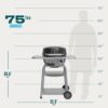 Bistro Pro Electric Grill & Griddle + Charcoal Mode, Black - 25302145