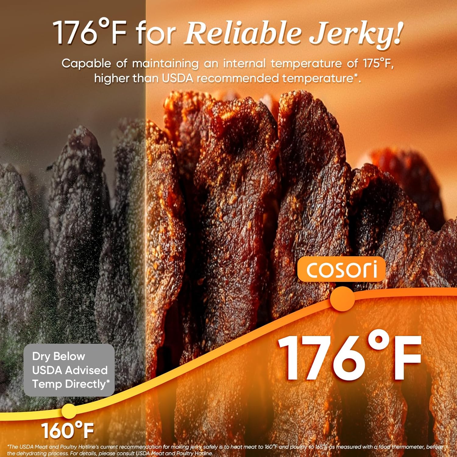 COSORI Food Dehydrator for Jerky, 176°F Temperature Control, 5 Stainless Steel Trays Dryer Machine, 4 Presets, 48H Timer, for Dog Treats, Meat, Fruit, Veggies, Snacks, Recipe Book Included13 COSORI Food Dehydrator for Jerky, 176°F Temperature Control, 5 Stainless Steel Trays Dryer Machine, 4 Presets, 48H Timer, for Dog Treats, Meat, Fruit, Veggies, Snacks, Recipe Book Included