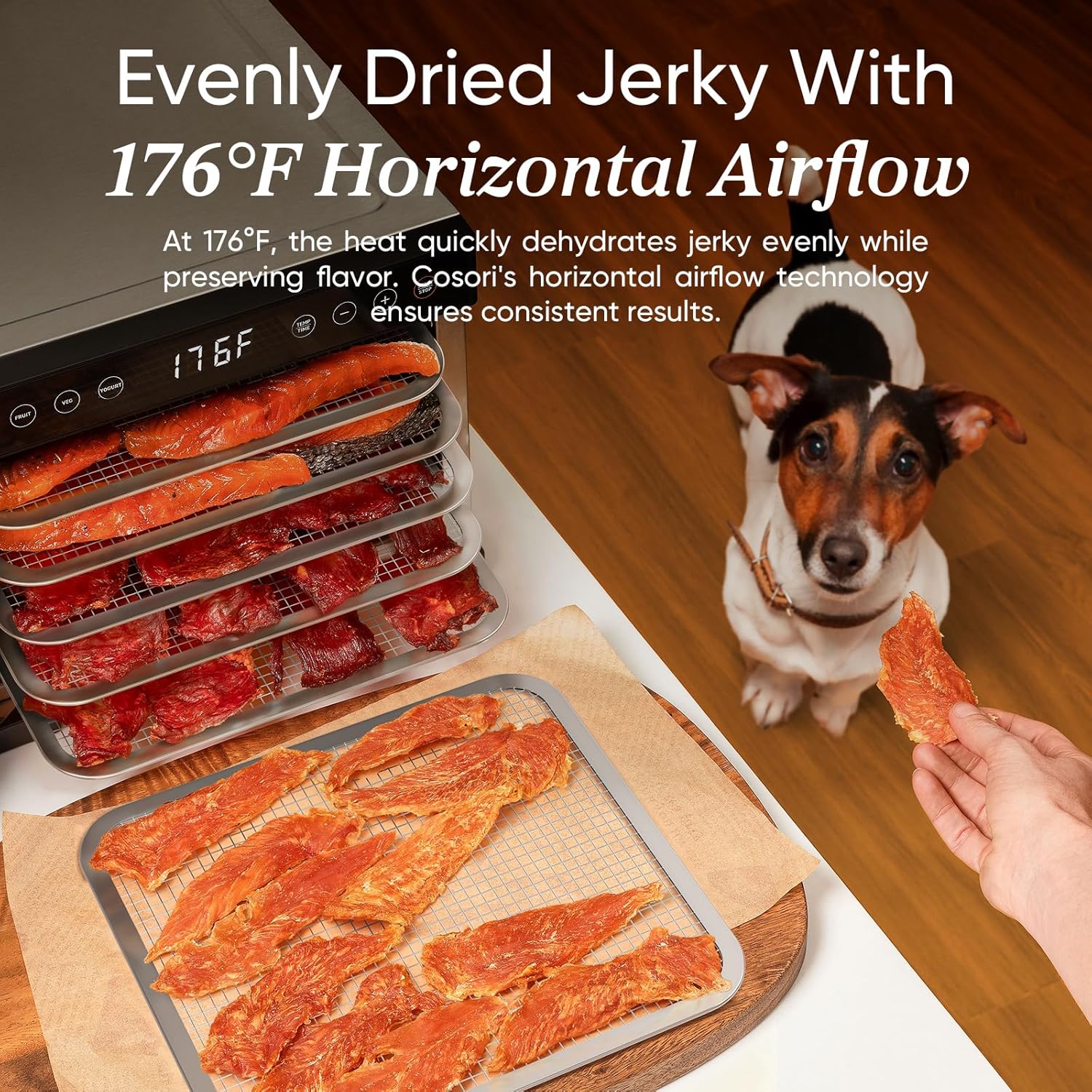 COSORI Food Dehydrator for Jerky, 176°F Temperature Control, 5 Stainless Steel Trays Dryer Machine, 4 Presets, 48H Timer, for Dog Treats, Meat, Fruit, Veggies, Snacks, Recipe Book Included6 COSORI Food Dehydrator for Jerky, 176°F Temperature Control, 5 Stainless Steel Trays Dryer Machine, 4 Presets, 48H Timer, for Dog Treats, Meat, Fruit, Veggies, Snacks, Recipe Book Included