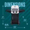 Char-Broil 463673519P1 Performance Series Convective 2-Burner Cabinet Propane Gas Stainless Steel Grill
