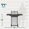 Charbroil 463638125 Performance Series 2-Burner Gas Grill Cabinet, Stainless Steel