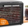 Excalibur Food Dehydrator 10-Tray Select Series for Jerky, Fruit, Vegetables, Herbs, Pet Treats, Stainless Steel with Glass Doors and 60 hour digital timer, 10-Tray, Black